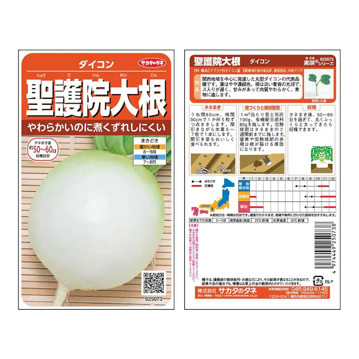 聖護院大根