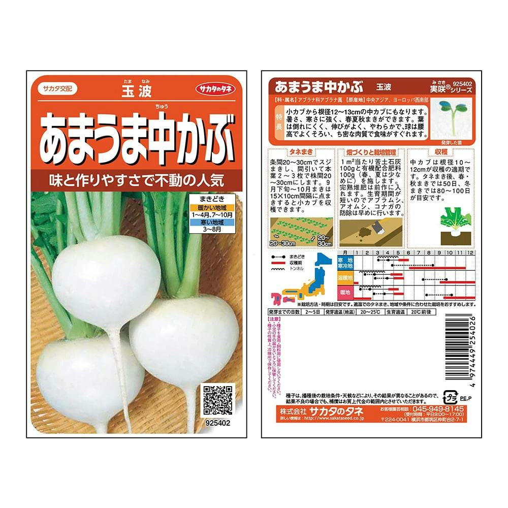 玉波中カブ