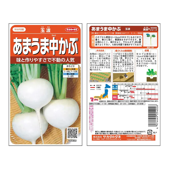 玉波中カブ