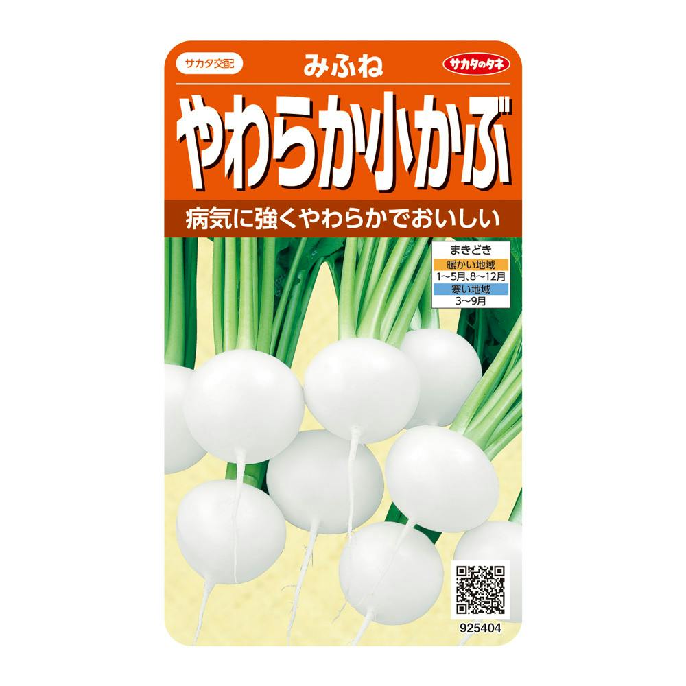 F1おいしい小中カブ小粋菜 | 花＆グリーン 通販 | ホームセンターの