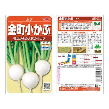 サカタのタネ 金町小かぶ