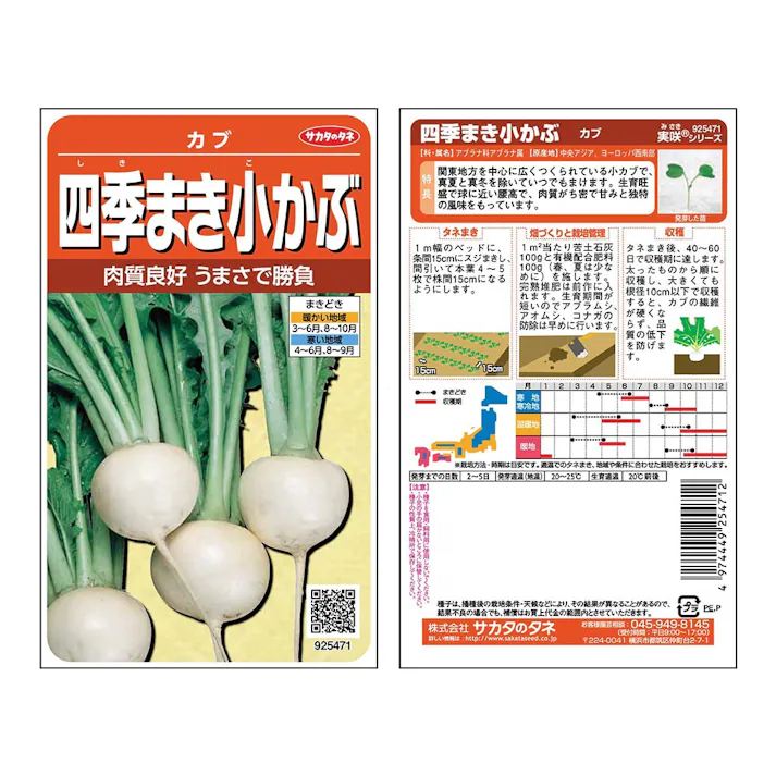 四季まき小かぶ