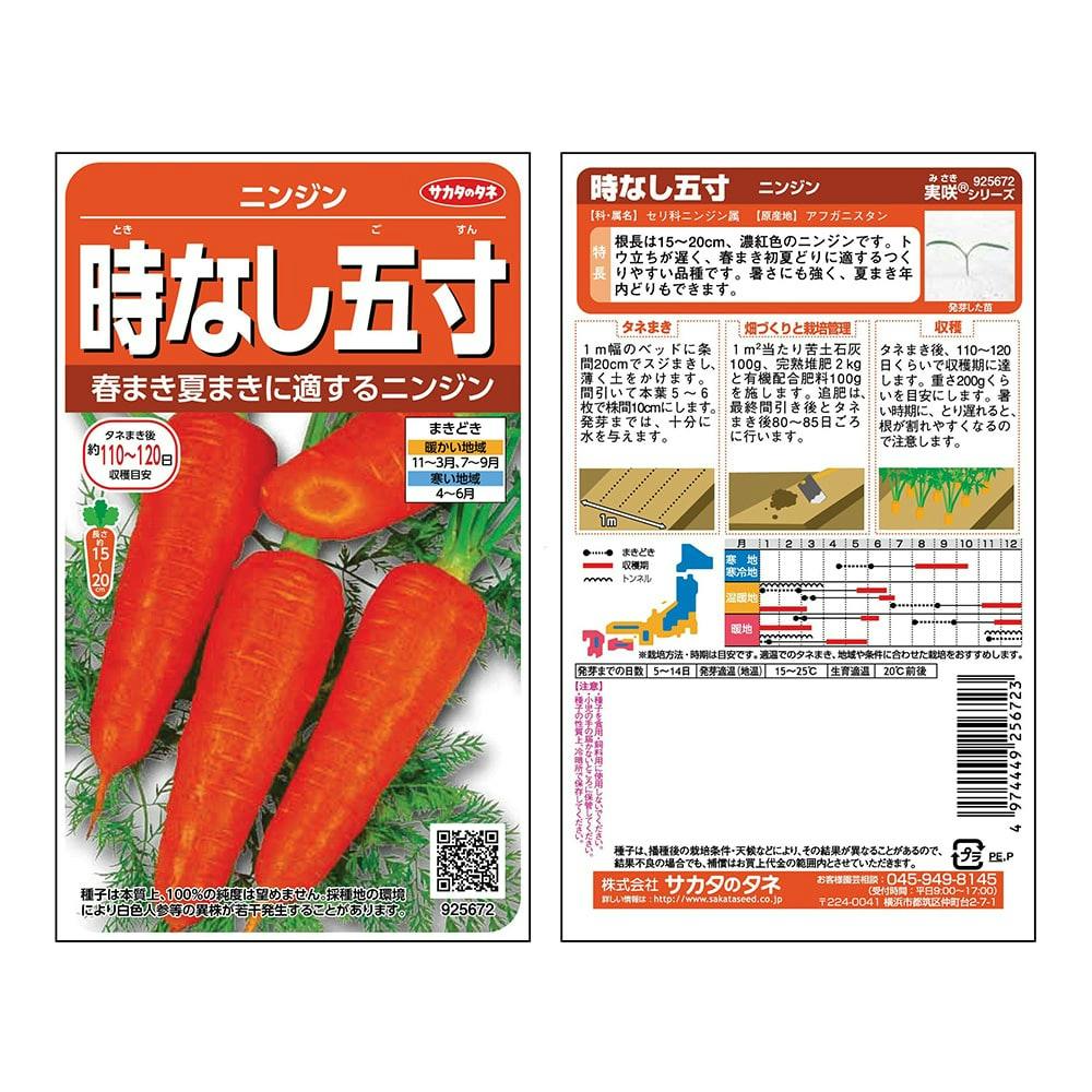 にんじんさん専用 時なし五寸ニンジン | 花＆グリーン 通販 | ホームセンターのカインズ