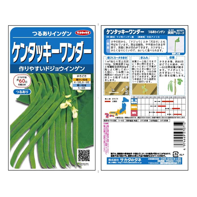 サカタのタネ 野菜の種 ケンタッキーワンダー つるありインゲン