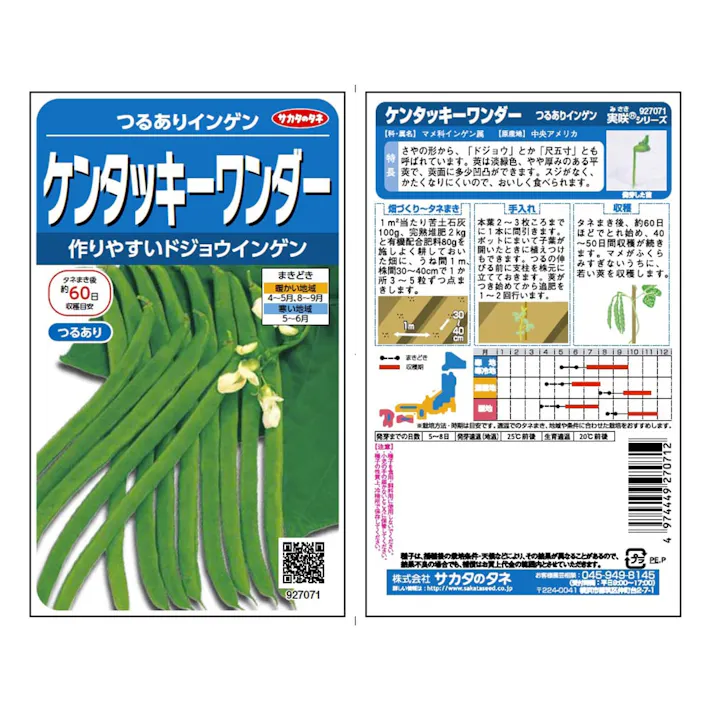 野菜の種 ケンタッキーワンダー つるありインゲン