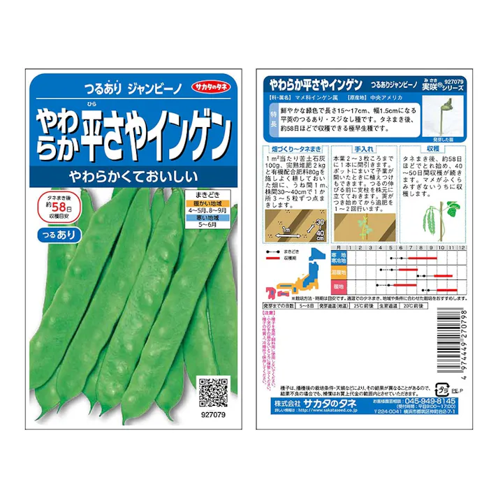 実咲野菜 7079ジャンビーノンつるありインゲン
