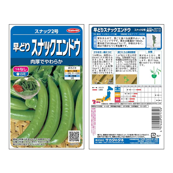 スナック 2号つるなしエンドウ