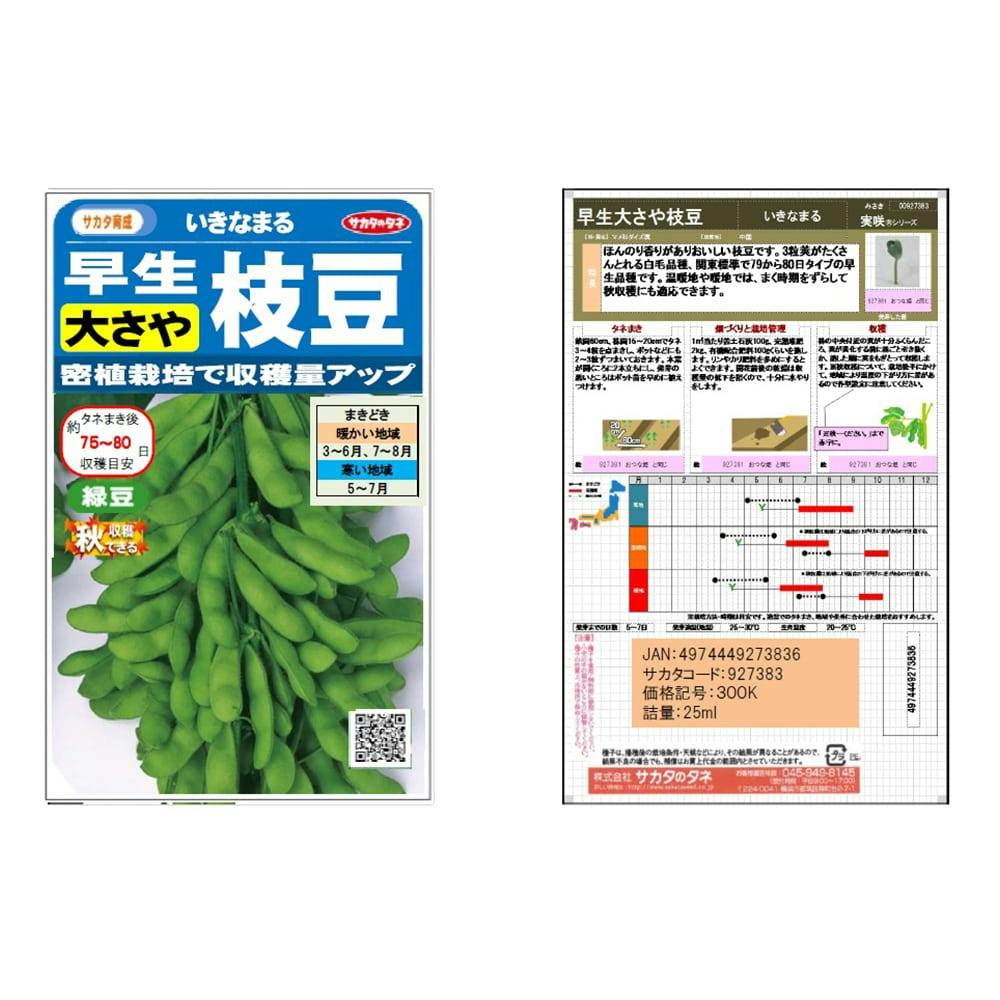 サカタのタネ 早生大さや枝豆いきなまる(販売終了) | 花＆グリーン