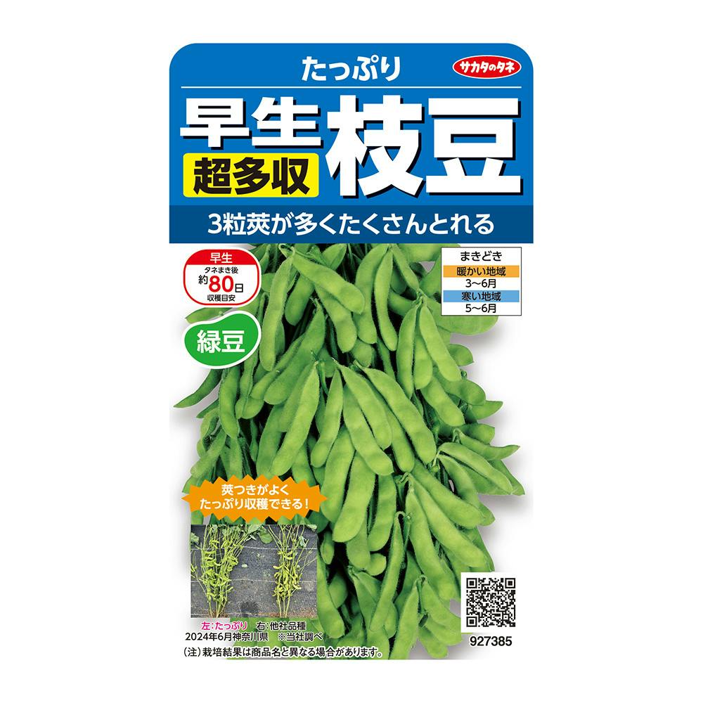 エダマメ 早生超多収枝豆 たっぷり