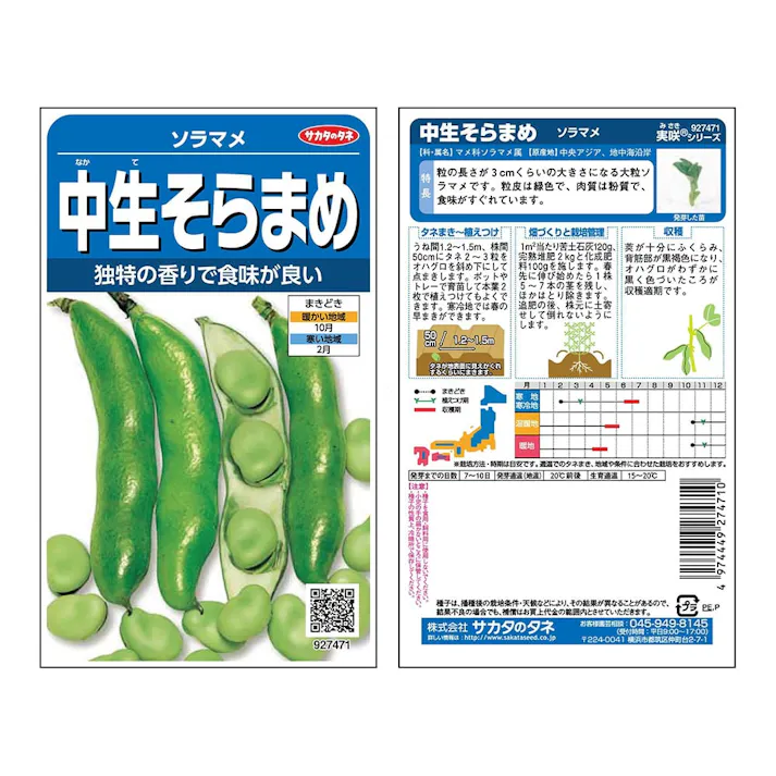 中生そらまめ