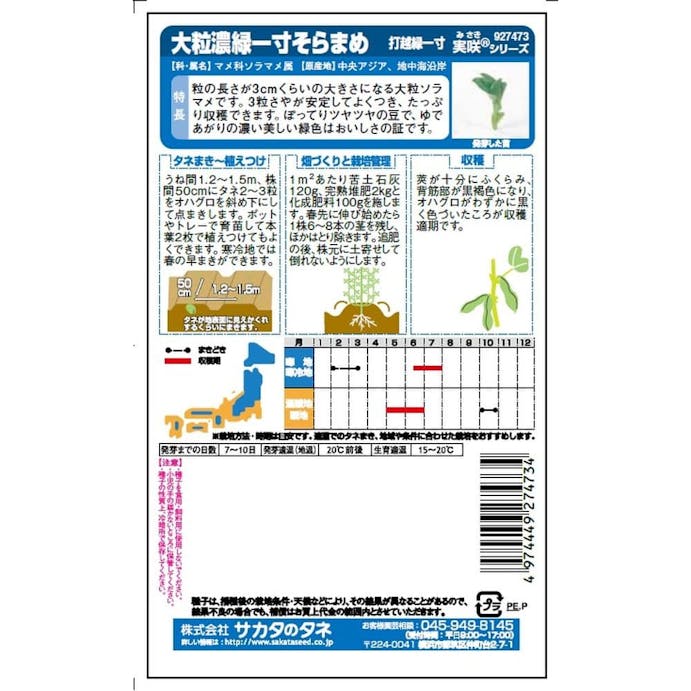 サカタのタネ 大粒濃緑一寸そらまめ打越緑一寸