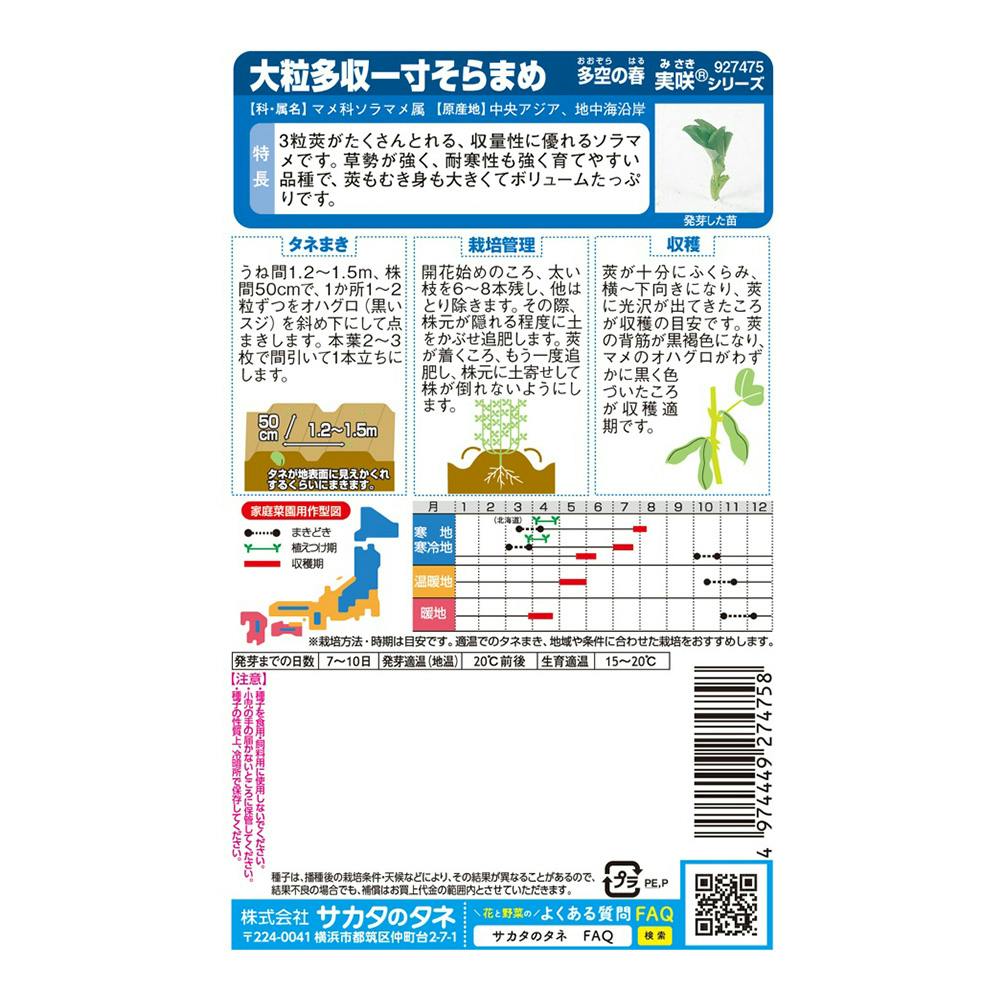 ソラマメ たくさんとれる一寸そらまめ | 花＆グリーン 通販