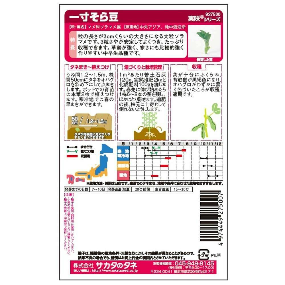 そら豆様ご依頼用 そら豆（メール便）通販・お取り寄せ | けらじ屋 - 喜界島特産品