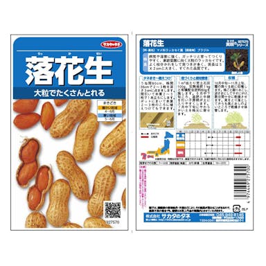 サカタのタネ 野菜の種 落花生(販売終了)