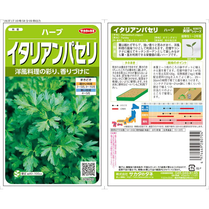 イタリアンパセリ