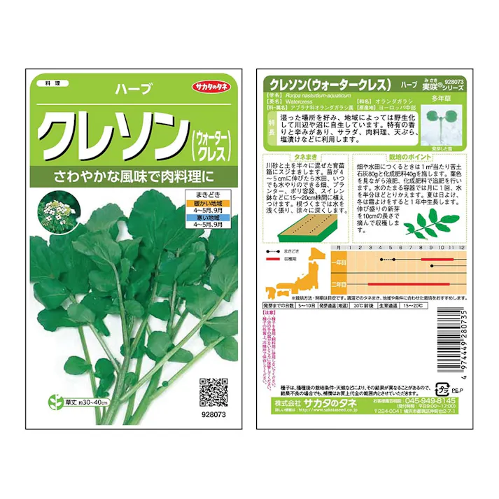 クレソン(ウォータークレス)