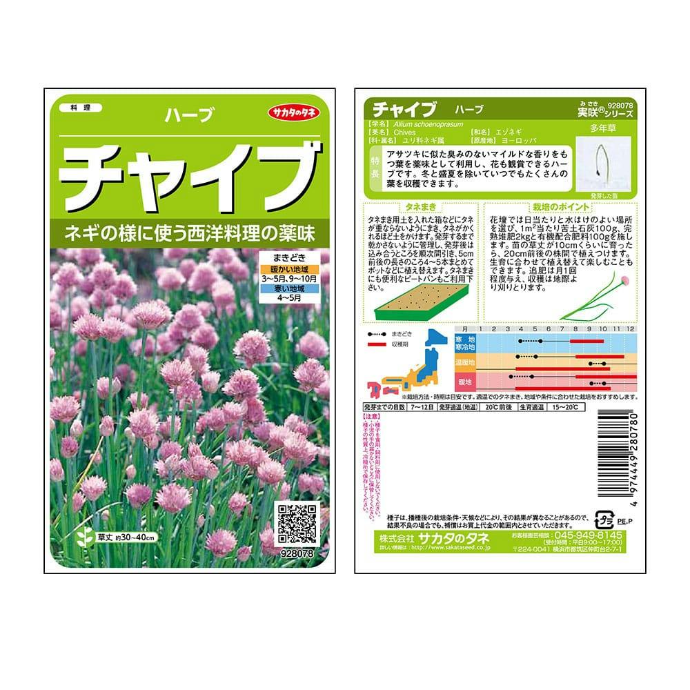 チャイブSA(販売終了) | 花＆グリーン 通販 | ホームセンターの