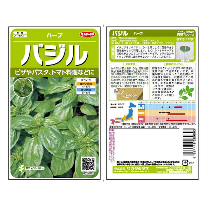野菜の種 バジル ハーブ