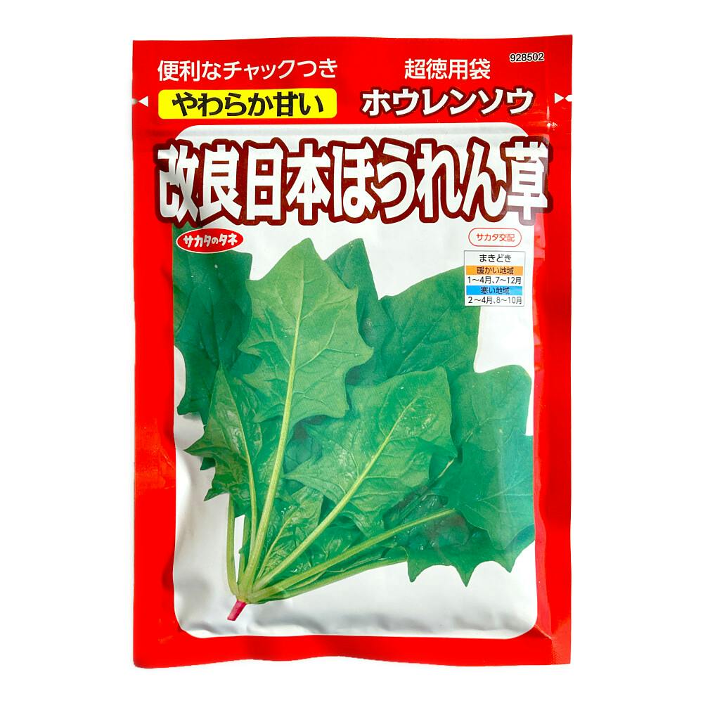 ほうれん草 CNほうれん草3CMカット（自然解凍） 500G: 農産品 KANTO EXPRESS