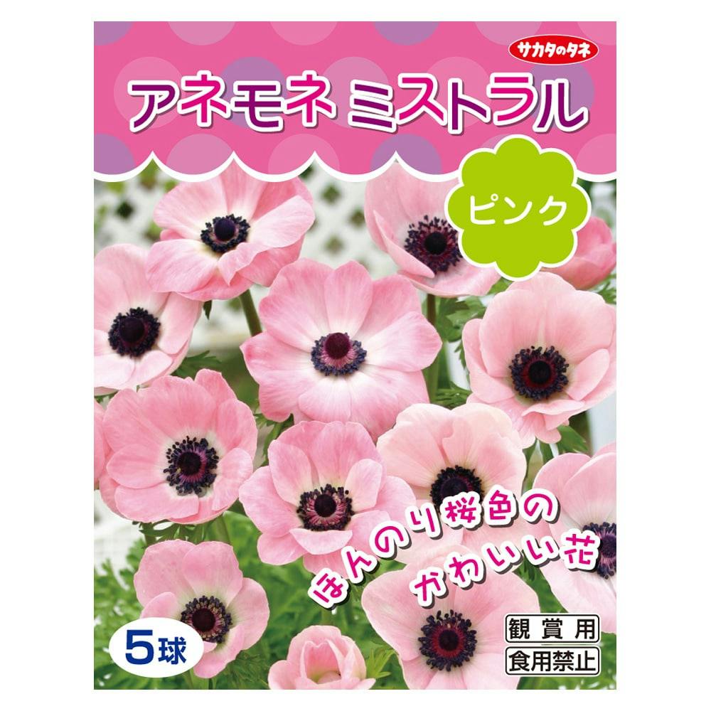 アレンバック ピンクのアネモネ ANEMONE（アネモネ） ショルダーバッグ バッグ レザー2WAYトートバッグ