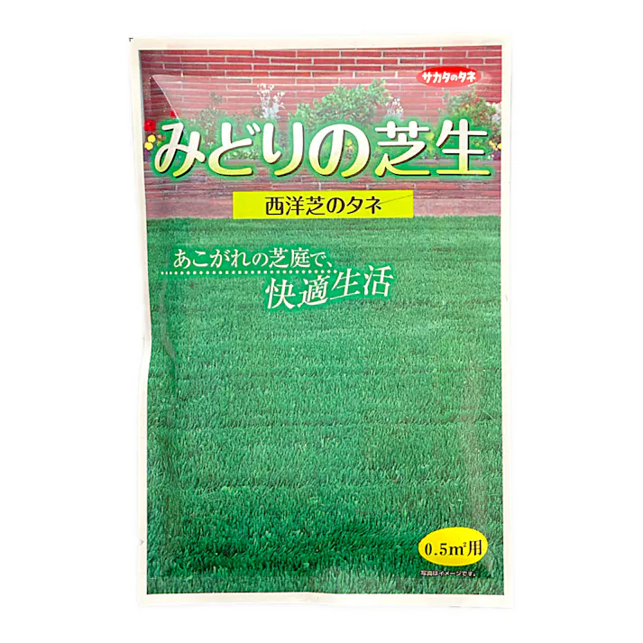 みどりの芝生小袋