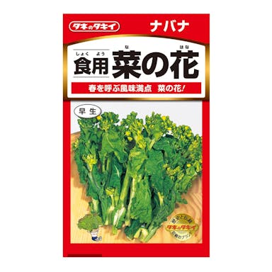 タネのタキイ 食用菜の花