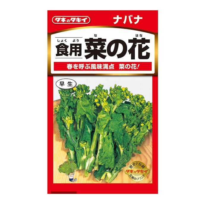 タネのタキイ 食用菜の花