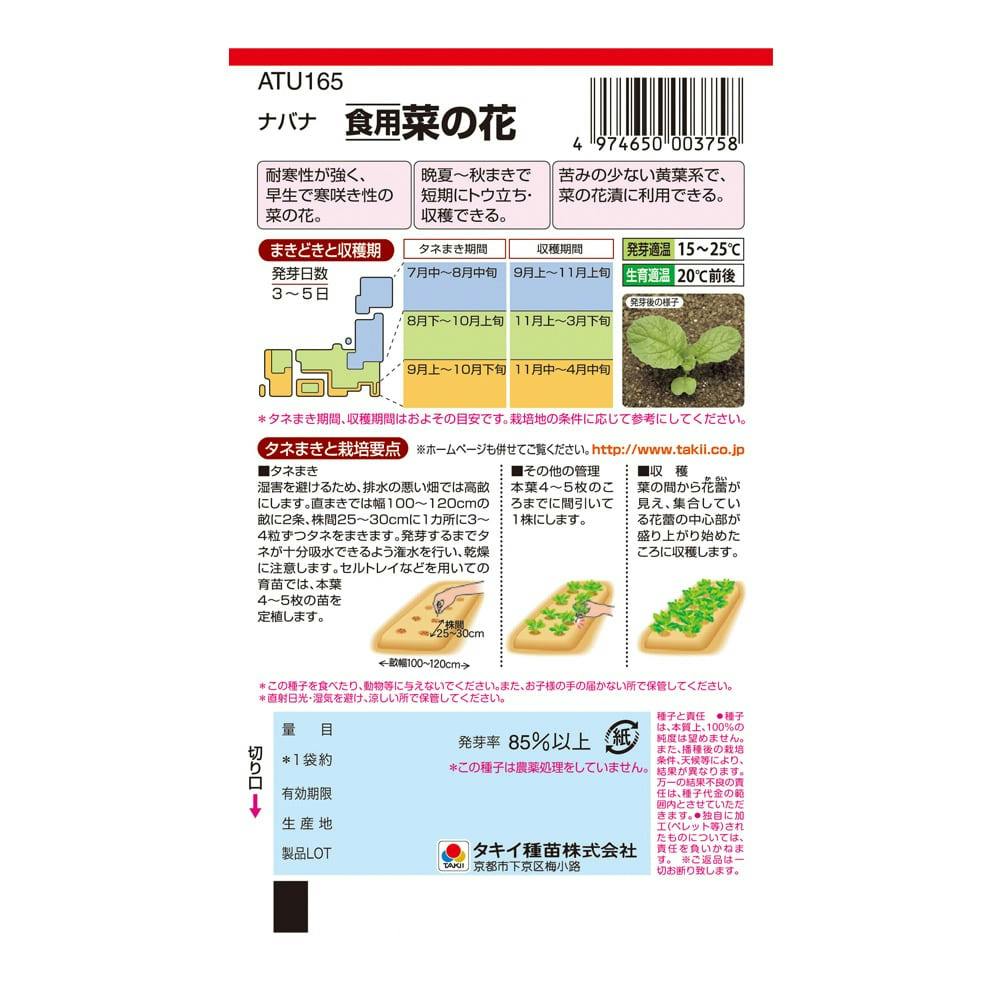 食用菜の花 | 花＆グリーン 通販 | ホームセンターのカインズ