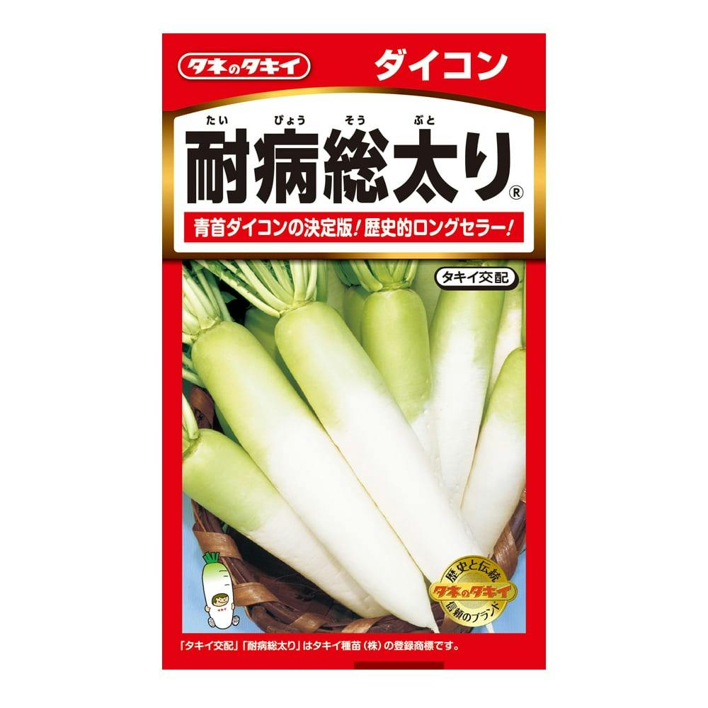 F1 早太りにんじん 紅輝(販売終了) | 花＆グリーン 通販