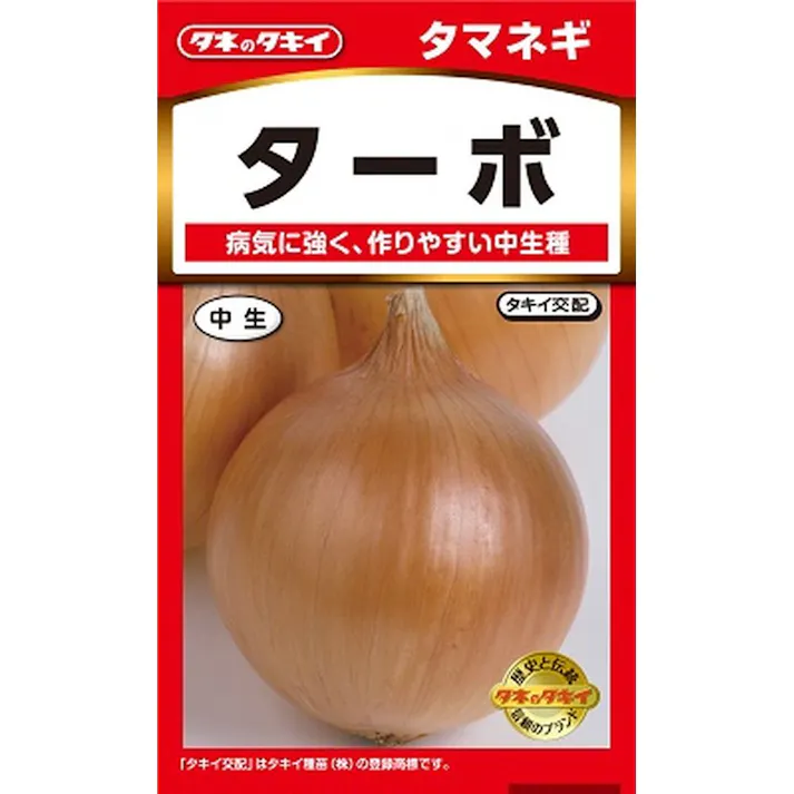 ターボ