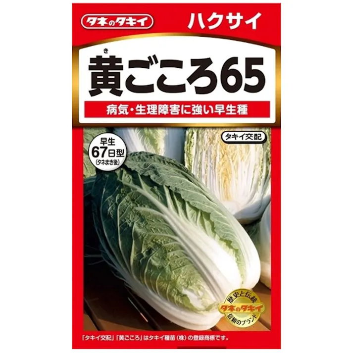 はくさい 黄ごころ 65