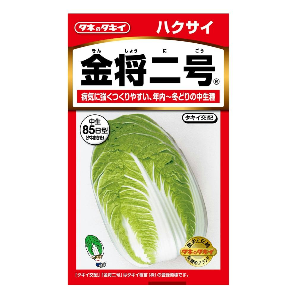 きゃべつ商品 F1長～く畑におけるキャベツ 長兵衛 | 花＆グリーン 通販