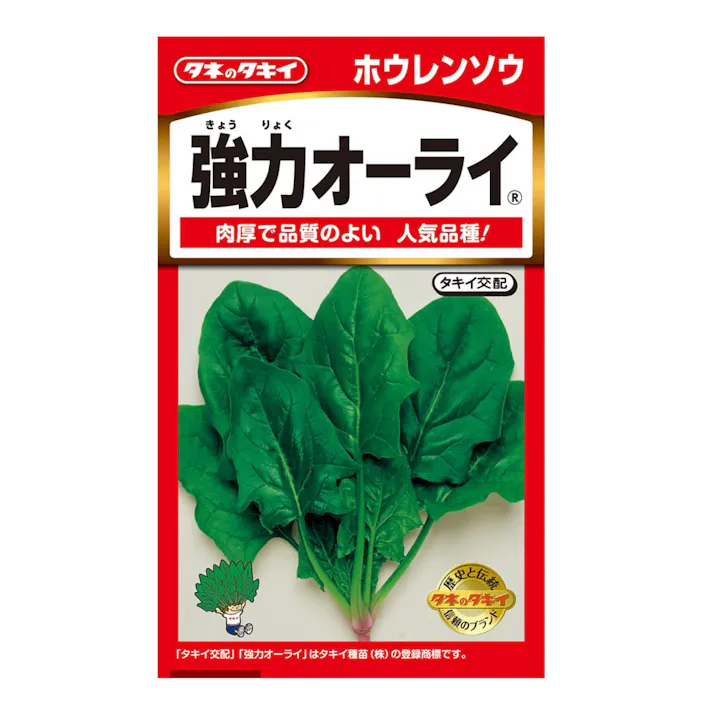 強力オーライ