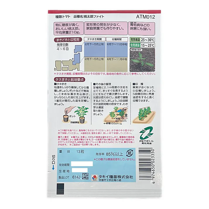 桃太郎ファイト