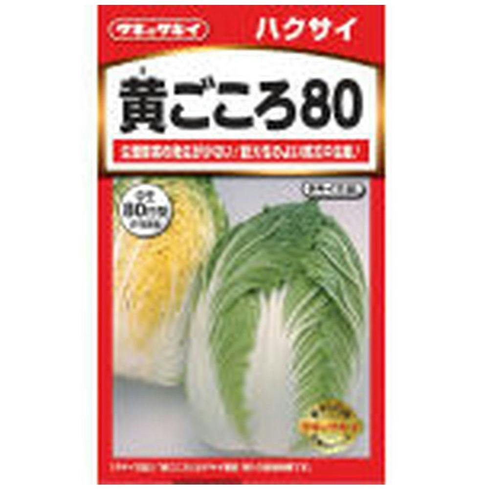 はくさい 黄ごころ 80