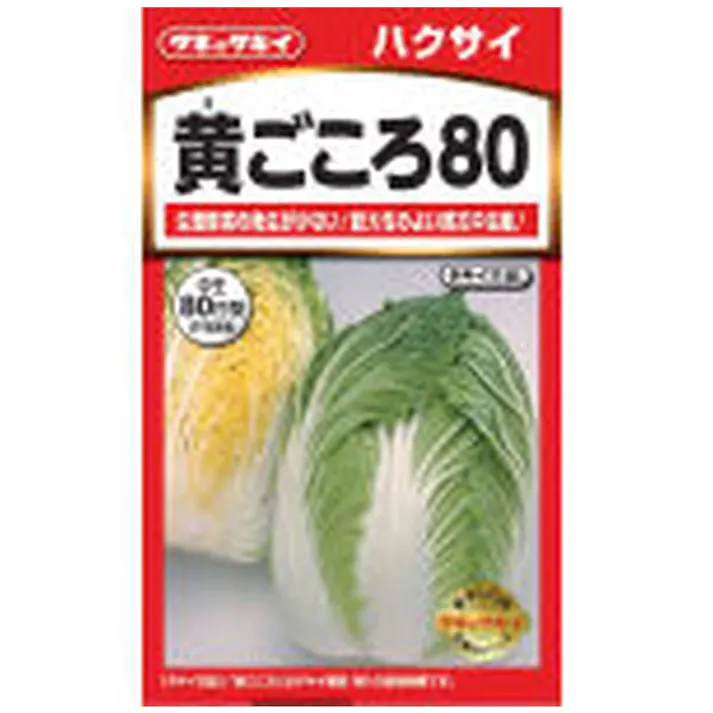 はくさい 黄ごころ 80