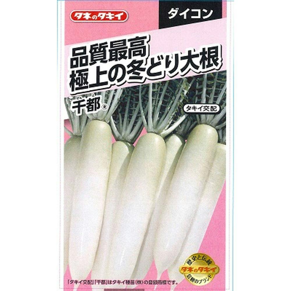冬自慢ダイコン | 花＆グリーン 通販 | ホームセンターのカインズ
