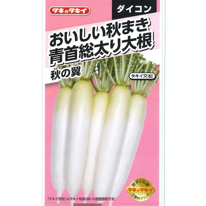 おいしい秋まき青首総太り大根 秋の翼