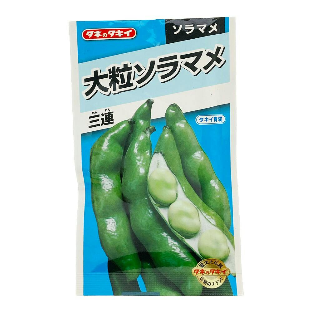 河内一寸そら豆 | 花＆グリーン 通販 | ホームセンターのカインズ