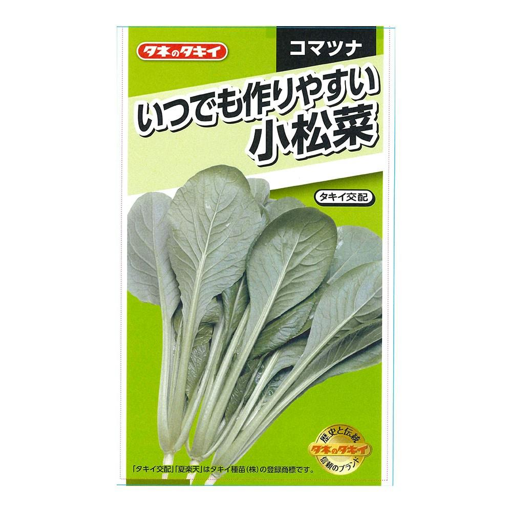 いつでも作りやすい小松菜