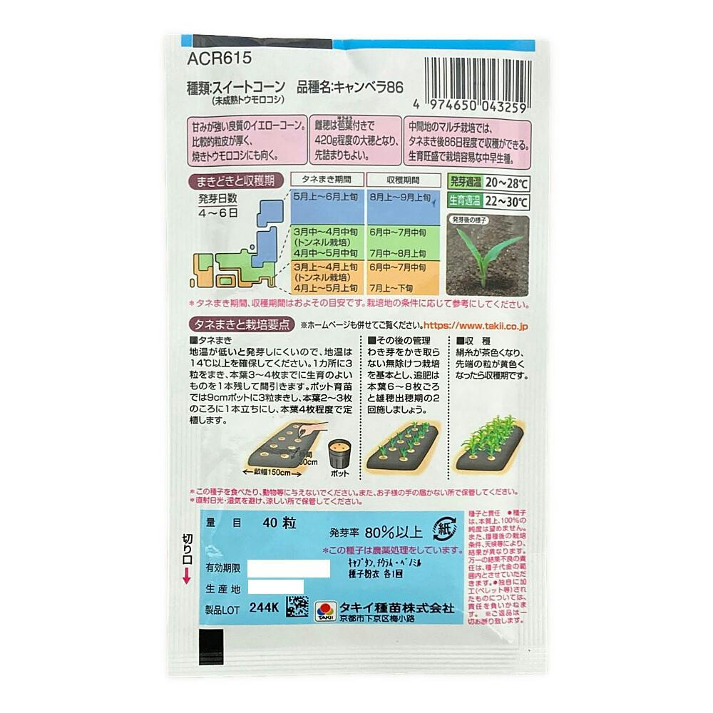 甘さビックリとうもろこし キャンベラ86 | 花＆グリーン 通販