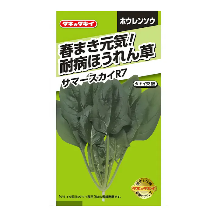 春まき元気耐病ほうれん草