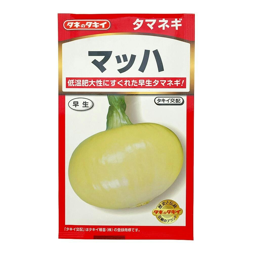 たまねぎ 淡路島産、人気の新玉ねぎ七宝早生7号｜Nii Farm