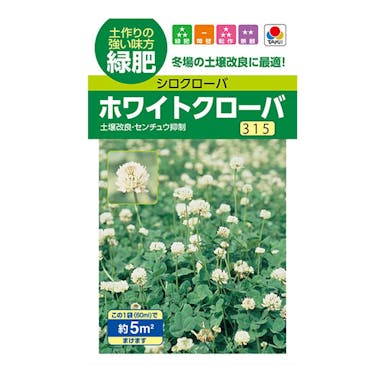 タネのタキイ 花の種 ホワイトクローバ(販売終了)