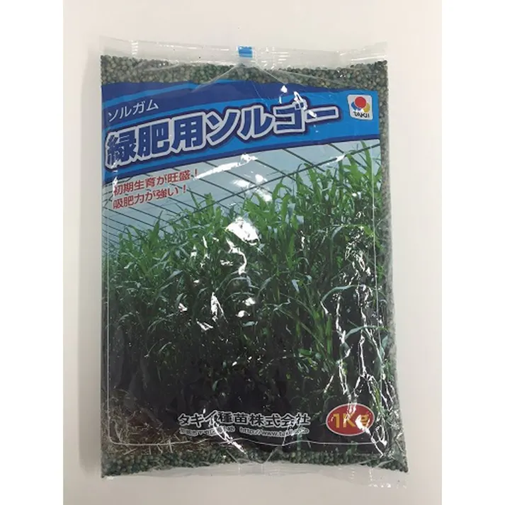 ソルガム 緑肥用ソルゴー