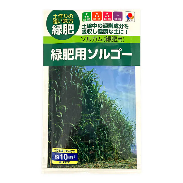 ソルガム 緑肥料ソルゴー