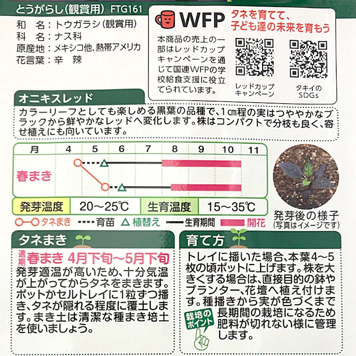 観賞用とうらがらし オニキスレッド