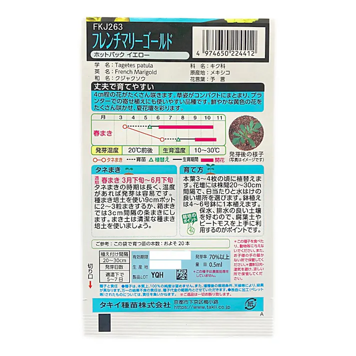 フレンチマリーゴールドホットパックイエロー