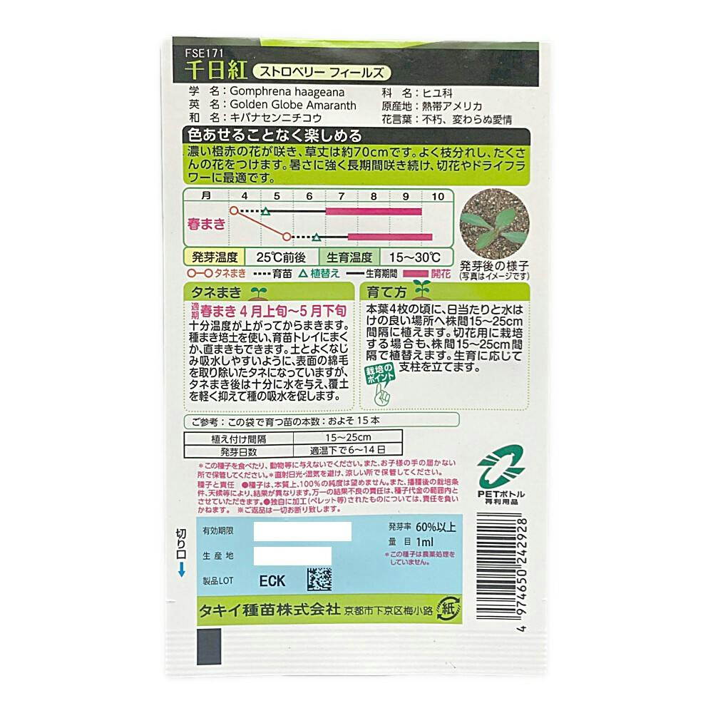 千日紅 ストロベリーフィールズ | 花＆グリーン 通販 | ホームセンター