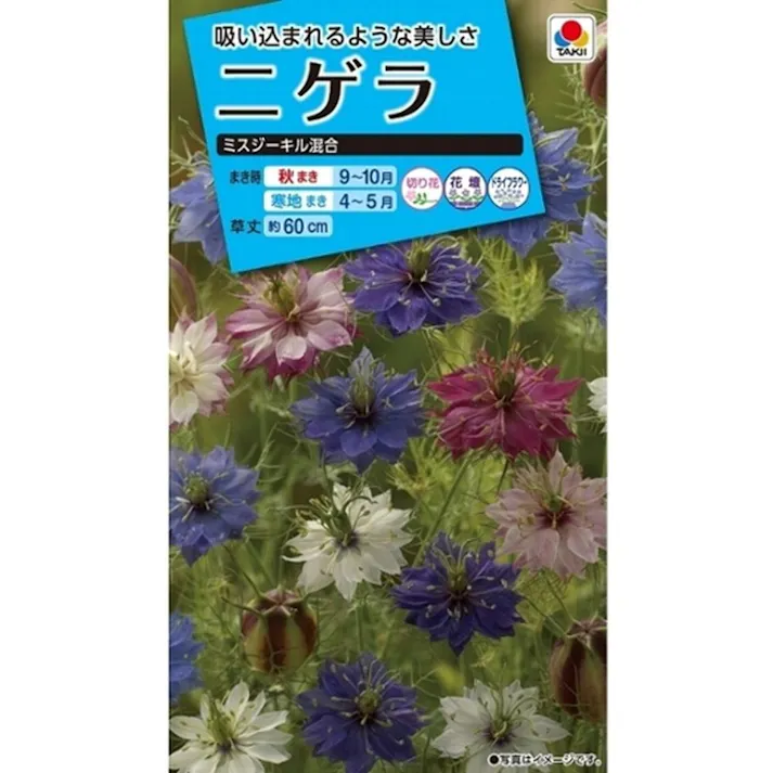 ニゲラ ミスキージル混合